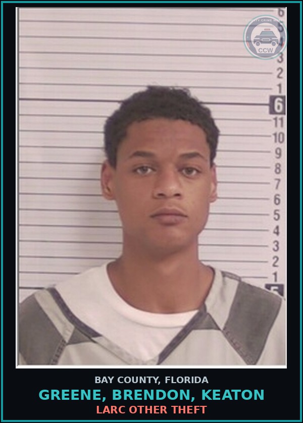 Booking mugshot of GREENE, BRENDON, KEATON in Bay County