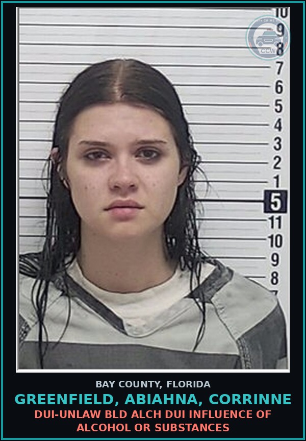 Booking mugshot of GREENFIELD, ABIAHNA, CORRINNE in Bay County