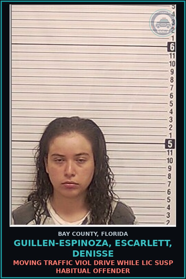Booking mugshot of GUILLEN-ESPINOZA, ESCARLETT, DENISSE in Bay County