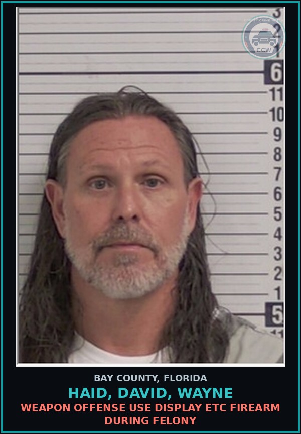 Booking mugshot of HAID, DAVID, WAYNE in Bay County