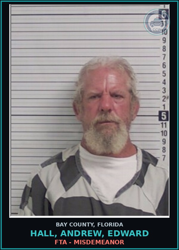 Booking mugshot of HALL, ANDREW, EDWARD in Bay County