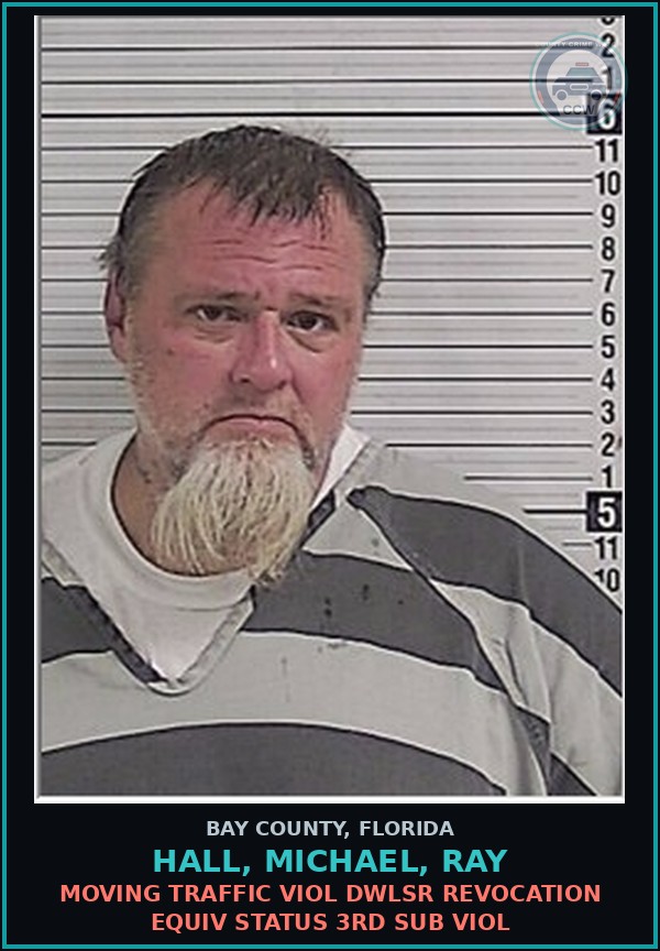 Booking mugshot of HALL, MICHAEL, RAY in Bay County