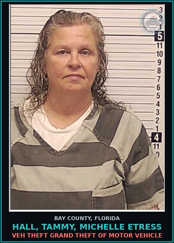 Booking mugshot of HALL, TAMMY, MICHELLE ETRESS in Bay County