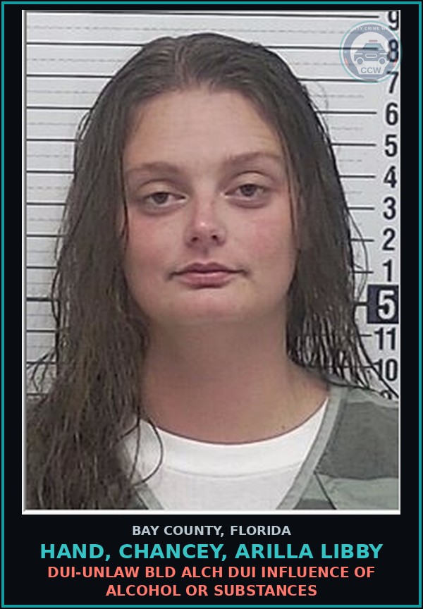 Booking mugshot of HAND, CHANCEY, ARILLA LIBBY in Bay County