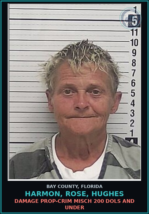 Booking mugshot of HARMON, ROSE, HUGHES in Bay County