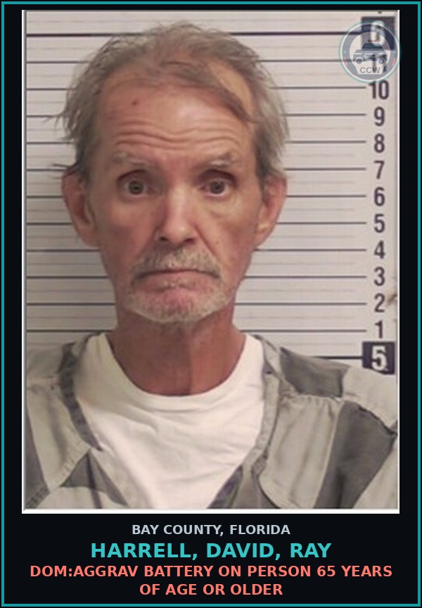 Booking mugshot of HARRELL, DAVID, RAY in Bay County
