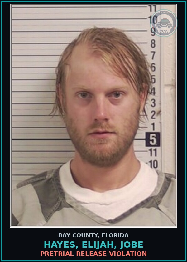 Booking mugshot of HAYES, ELIJAH, JOBE in Bay County