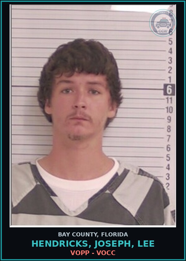 Booking mugshot of HENDRICKS, JOSEPH, LEE in Bay County