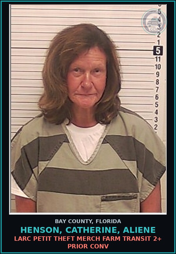 Booking mugshot of HENSON, CATHERINE, ALIENE in Bay County