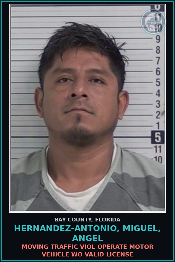 Booking mugshot of HERNANDEZ-ANTONIO, MIGUEL, ANGEL in Bay County