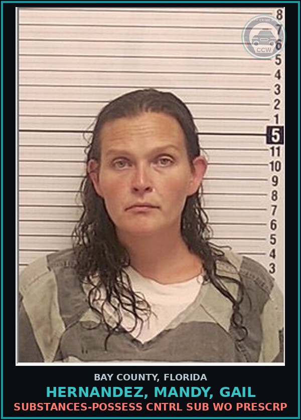 Booking mugshot of HERNANDEZ, MANDY, GAIL in Bay County