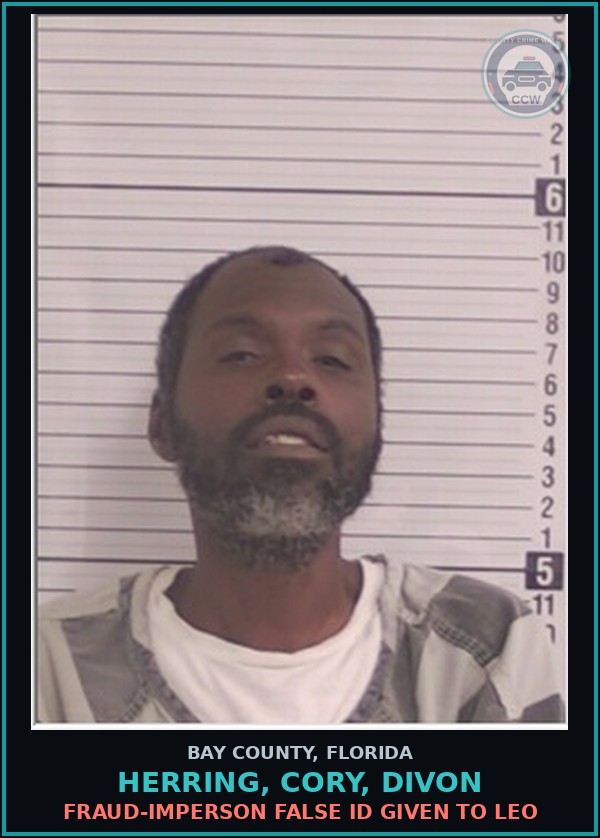 Booking mugshot of HERRING, CORY, DIVON in Bay County