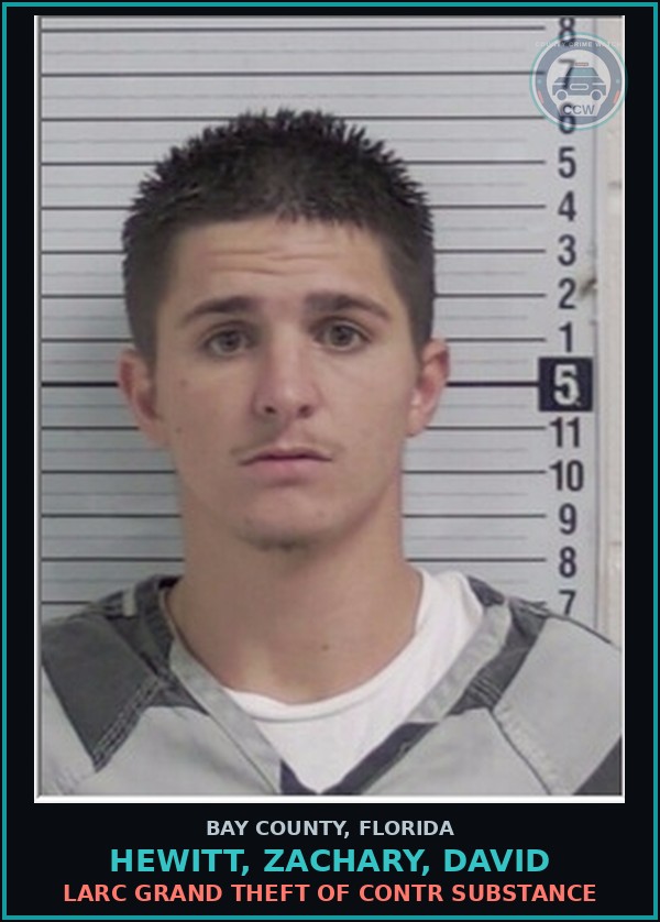 Booking mugshot of HEWITT, ZACHARY, DAVID in Bay County