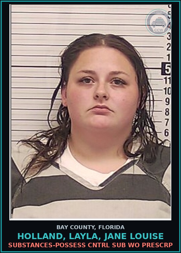 Booking mugshot of HOLLAND, LAYLA, JANE LOUISE in Bay County