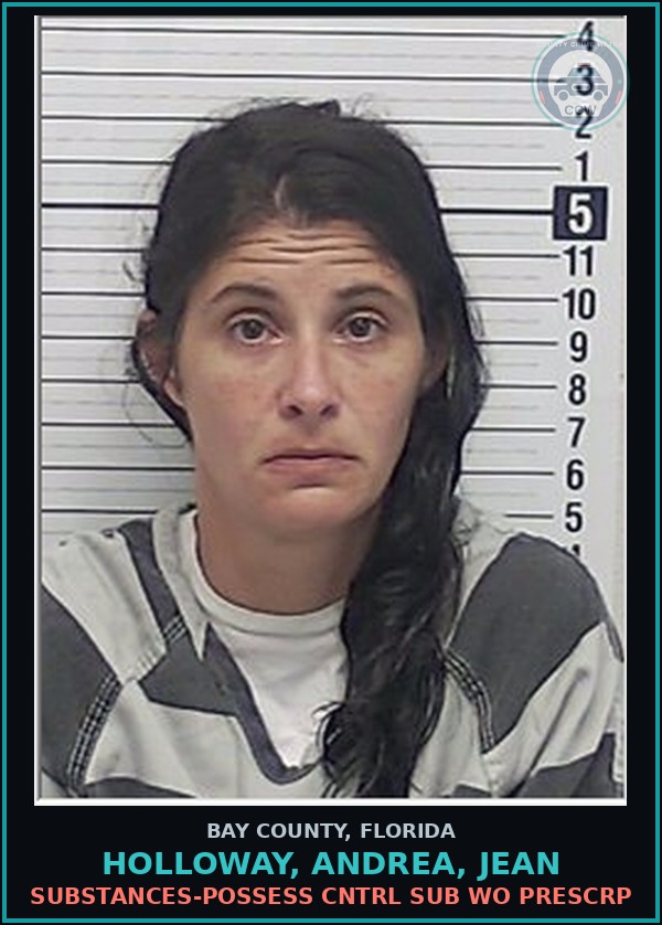 Booking mugshot of HOLLOWAY, ANDREA, JEAN in Bay County