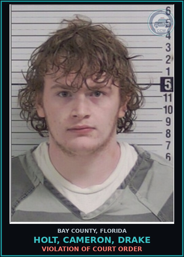 Booking mugshot of HOLT, CAMERON, DRAKE in Bay County