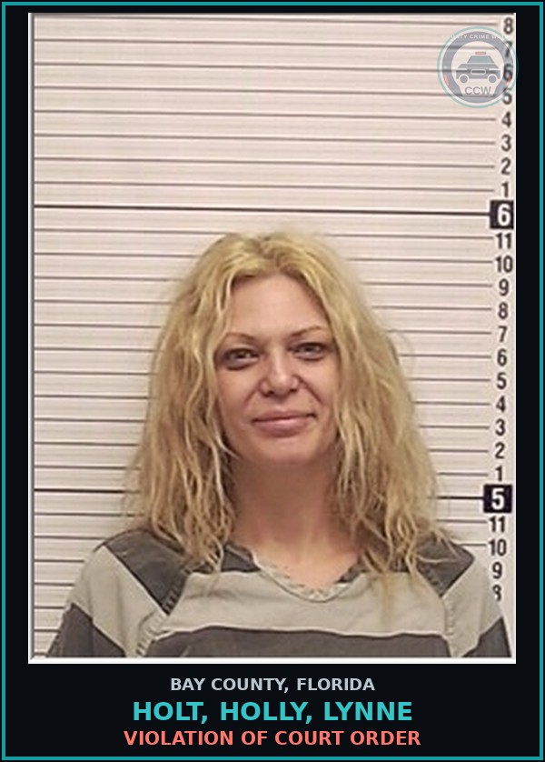 Booking mugshot of HOLT, HOLLY, LYNNE in Bay County