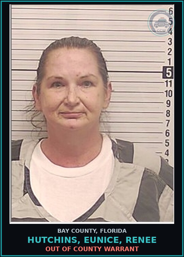 Booking mugshot of HUTCHINS, EUNICE, RENEE in Bay County