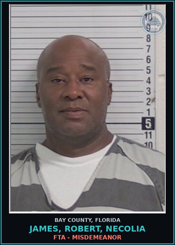 Booking mugshot of JAMES, ROBERT, NECOLIA in Bay County