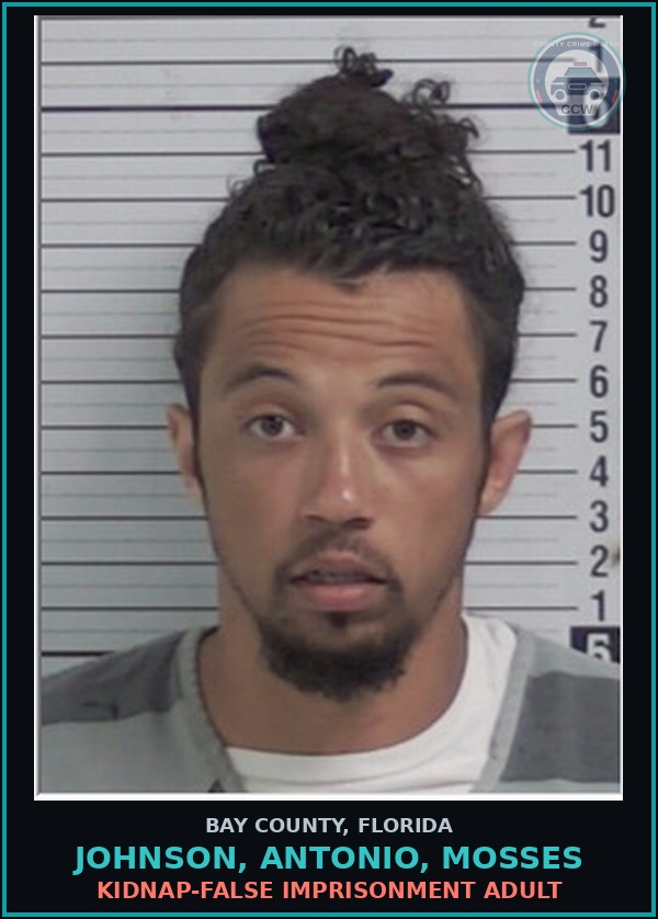 Booking mugshot of JOHNSON, ANTONIO, MOSSES in Bay County