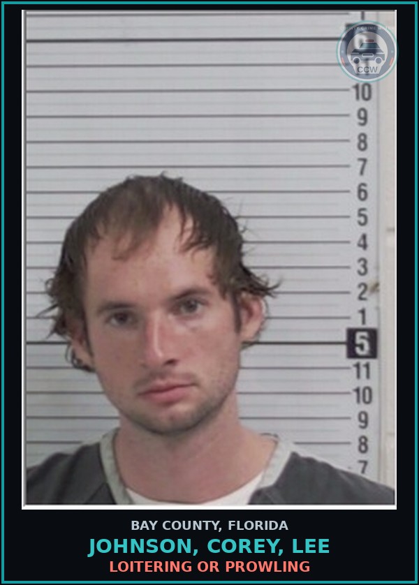 Booking mugshot of JOHNSON, COREY, LEE in Bay County