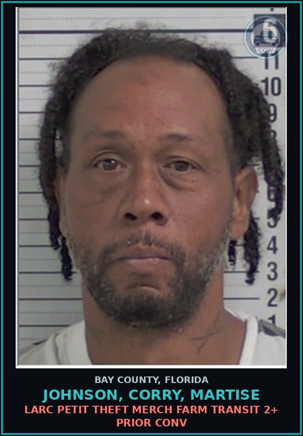 Booking mugshot of JOHNSON, CORRY, MARTISE in Bay County