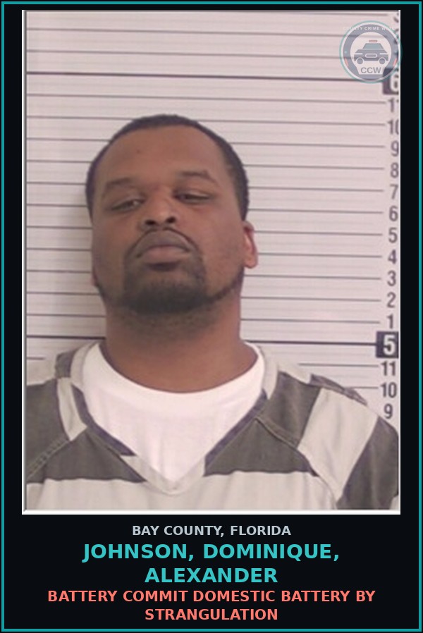 Booking mugshot of JOHNSON, DOMINIQUE, ALEXANDER in Bay County