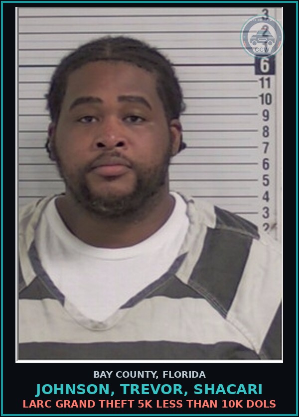 Booking mugshot of JOHNSON, TREVOR, SHACARI in Bay County