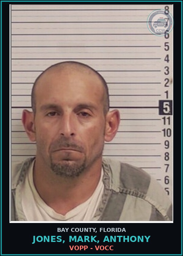Booking mugshot of JONES, MARK, ANTHONY in Bay County