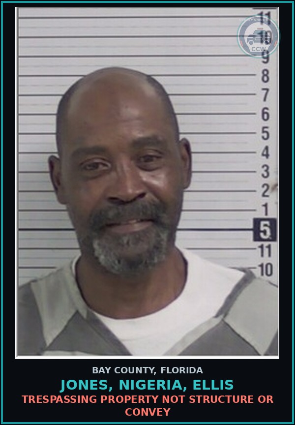 Booking mugshot of JONES, NIGERIA, ELLIS in Bay County