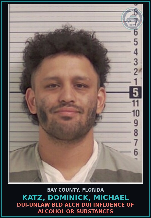 Booking mugshot of KATZ, DOMINICK, MICHAEL in Bay County