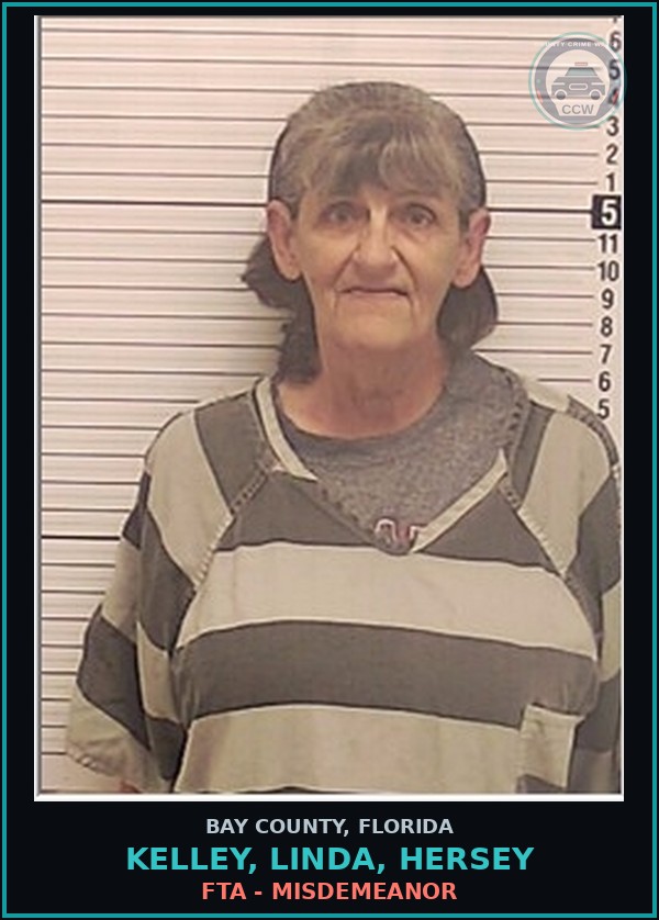 Booking mugshot of KELLEY, LINDA, HERSEY in Bay County