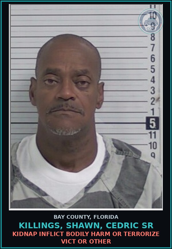 Booking mugshot of KILLINGS, SHAWN, CEDRIC SR in Bay County