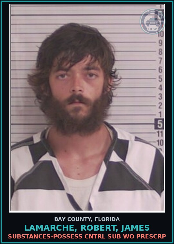 Booking mugshot of LAMARCHE, ROBERT, JAMES in Bay County