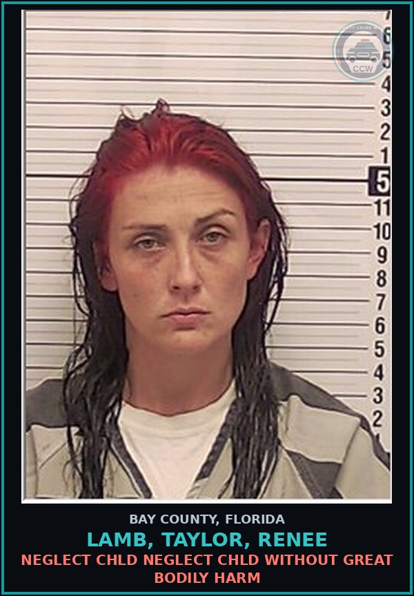 Booking mugshot of LAMB, TAYLOR, RENEE in Bay County