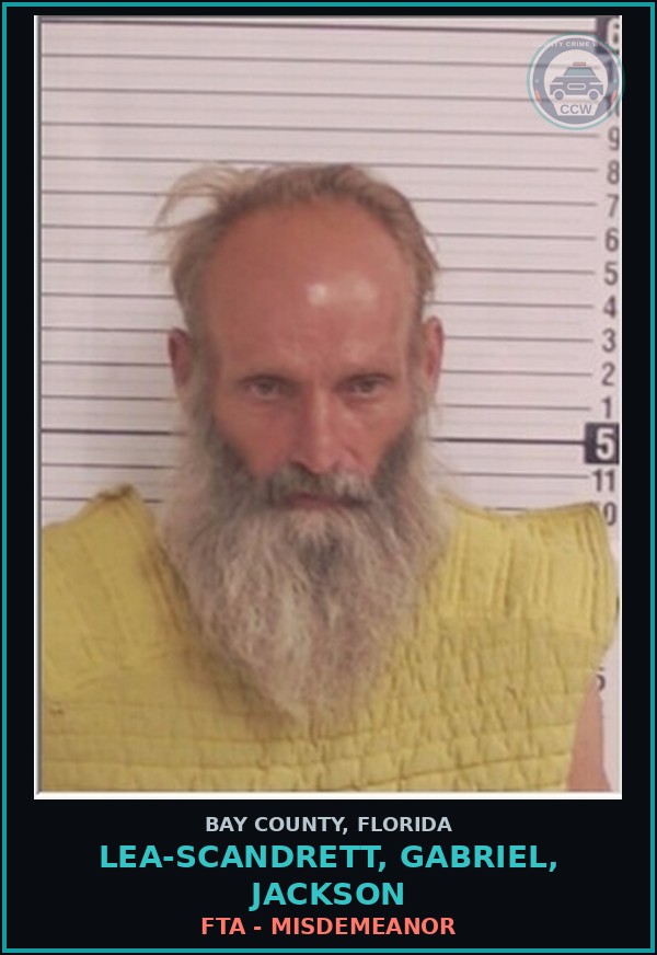 Booking mugshot of LEA-SCANDRETT, GABRIEL, JACKSON in Bay County