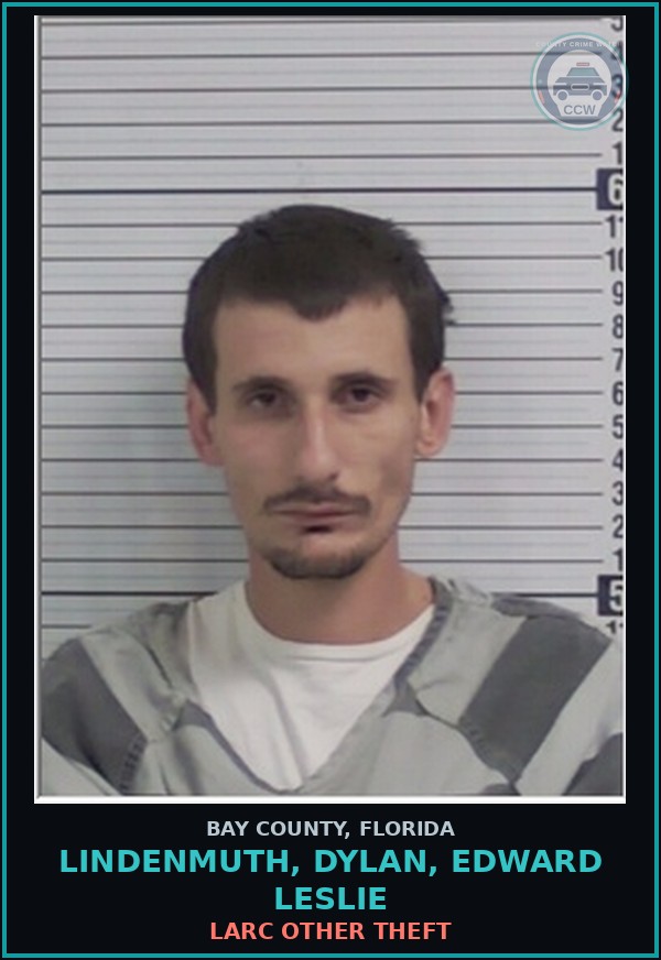 Booking mugshot of LINDENMUTH, DYLAN, EDWARD LESLIE in Bay County