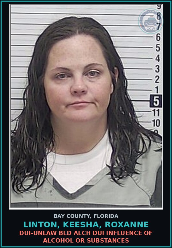 Booking mugshot of LINTON, KEESHA, ROXANNE in Bay County