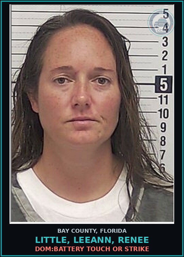 Booking mugshot of LITTLE, LEEANN, RENEE in Bay County