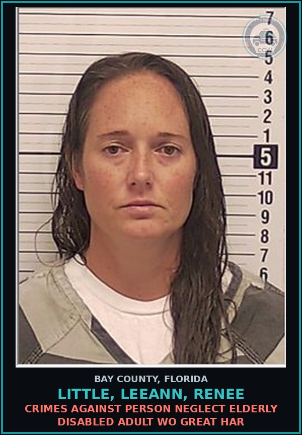 Booking mugshot of LITTLE, LEEANN, RENEE in Bay County