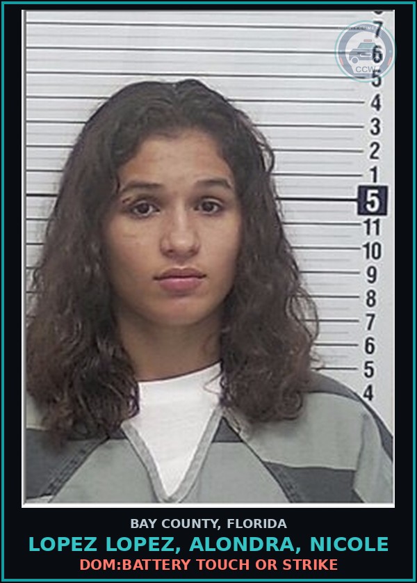 Booking mugshot of LOPEZ LOPEZ, ALONDRA, NICOLE in Bay County