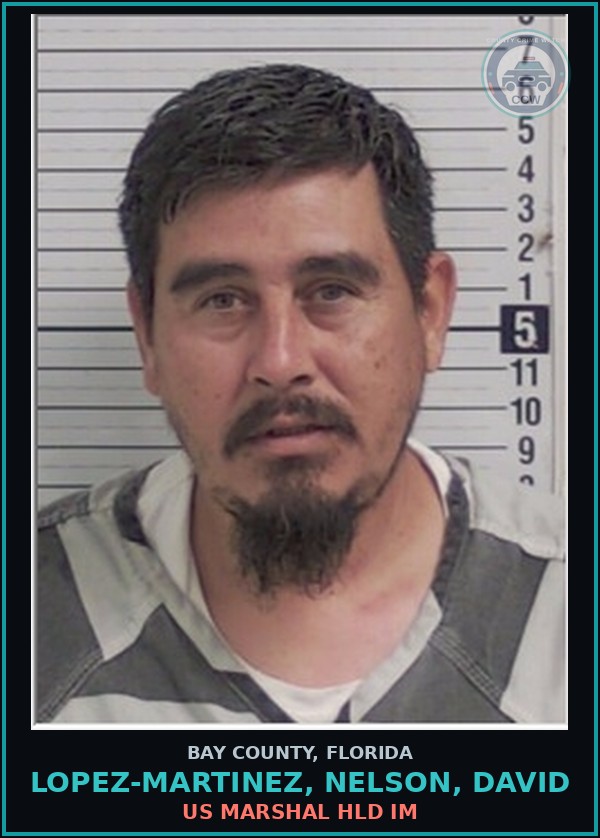 Booking mugshot of LOPEZ-MARTINEZ, NELSON, DAVID in Bay County