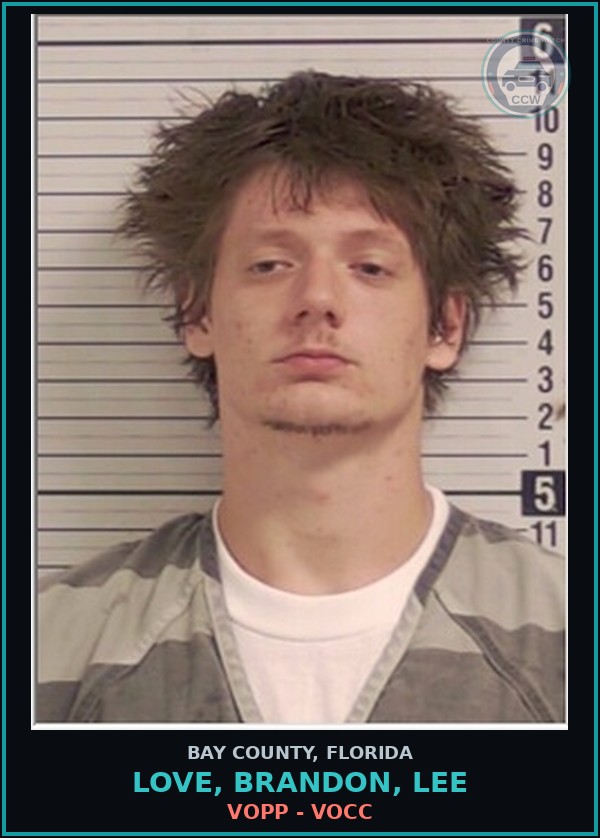 Booking mugshot of LOVE, BRANDON, LEE in Bay County
