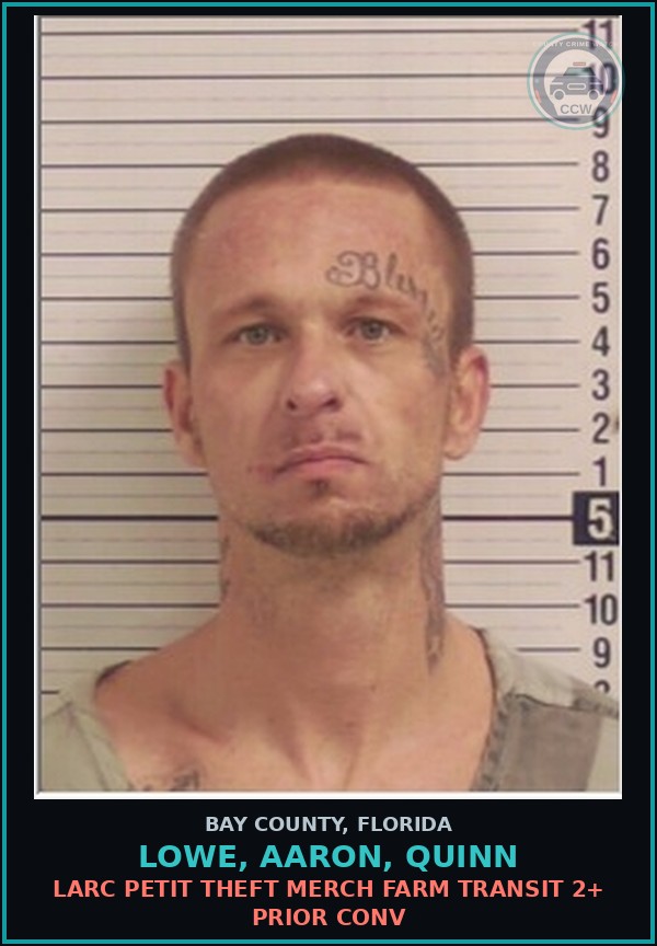 Booking mugshot of LOWE, AARON, QUINN in Bay County