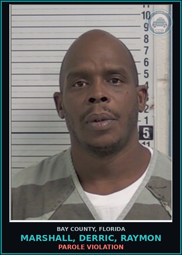 Booking mugshot of MARSHALL, DERRIC, RAYMON in Bay County