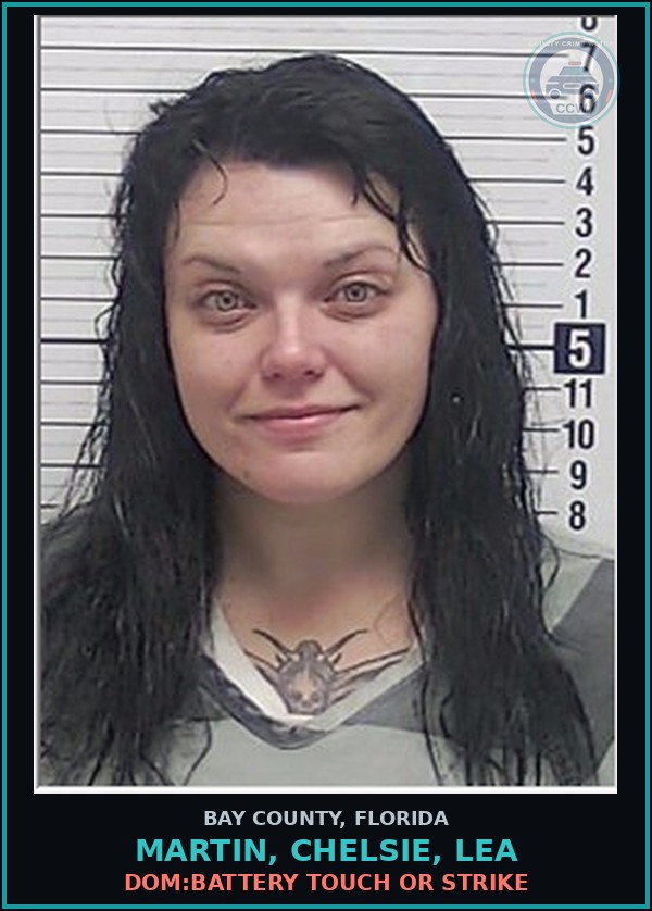 Booking mugshot of MARTIN, CHELSIE, LEA in Bay County