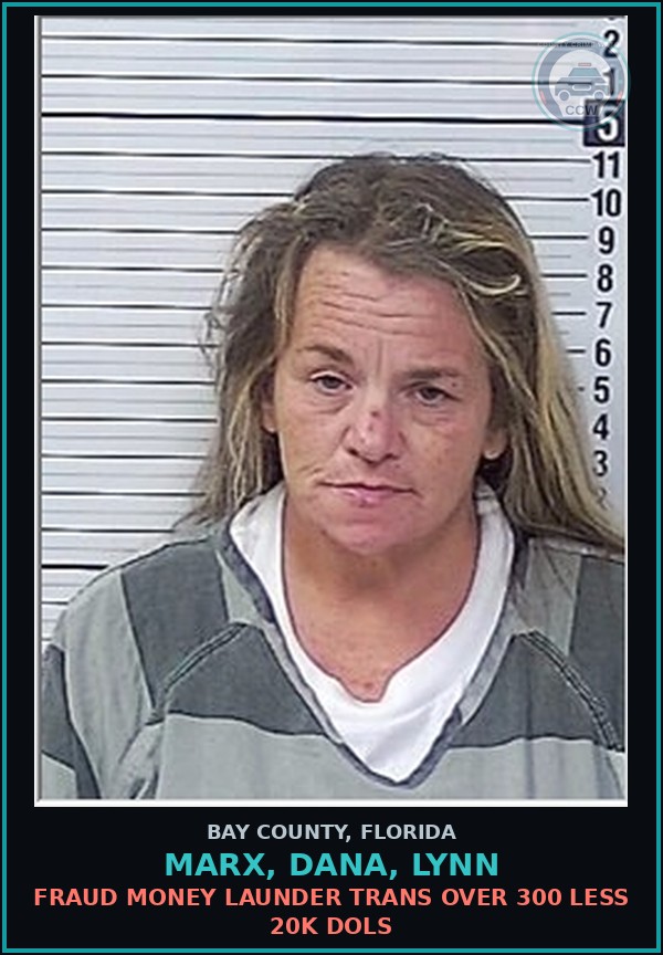 Booking mugshot of MARX, DANA, LYNN in Bay County