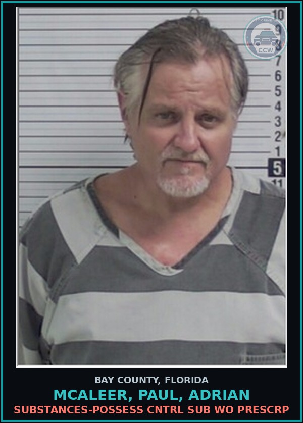 Booking mugshot of MCALEER, PAUL, ADRIAN in Bay County