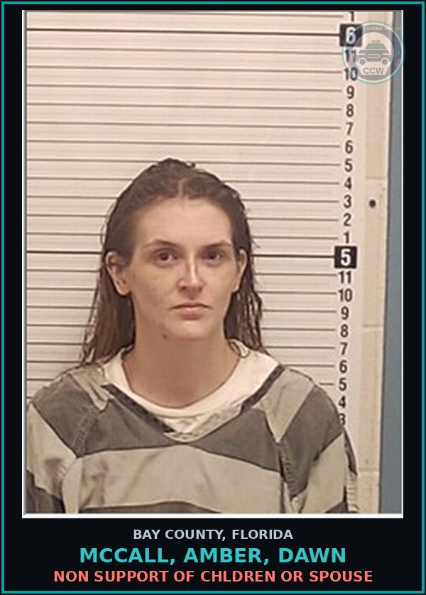 Booking mugshot of MCCALL, AMBER, DAWN in Bay County