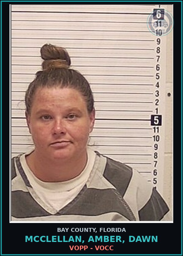 Booking mugshot of MCCLELLAN, AMBER, DAWN in Bay County